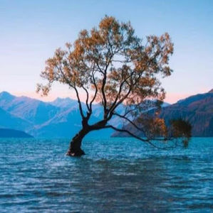 Meet your Posher, Deepa